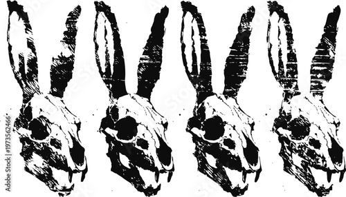 Four black and white rabbit skull illustrations in a row with detailed shading and texture