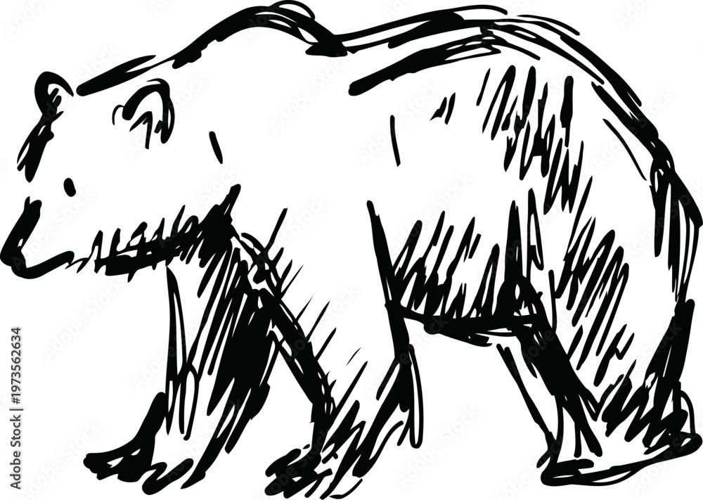 Fototapeta premium hand drawn black sketch of a walking bear in profile, wild animal line art illustration