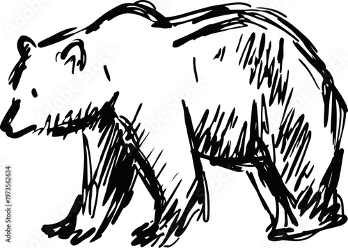 hand drawn black sketch of a walking bear in profile, wild animal line art illustration