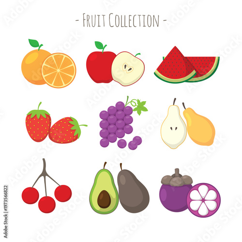 A colorful illustration of various fruits