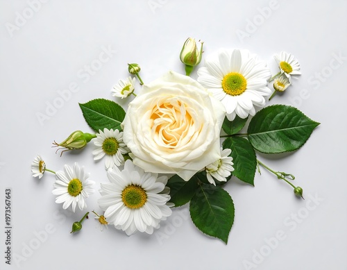 A bright, overhead composition features a central cream-colored rose surrounded by several daisies, buds, and lush green leaves against a clean white backdrop