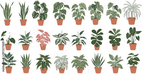 Indoor Potted Plants Vector Illustration Set with Various Houseplants in Flower Pots Home Decor Botanical Collection Isolated on Background