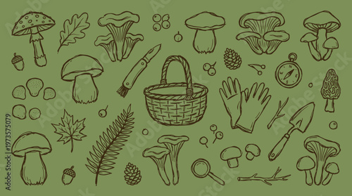 Collection of hand-drawn mushroom foraging elements including various fungi, basket, knife, gloves, and compass on a green background