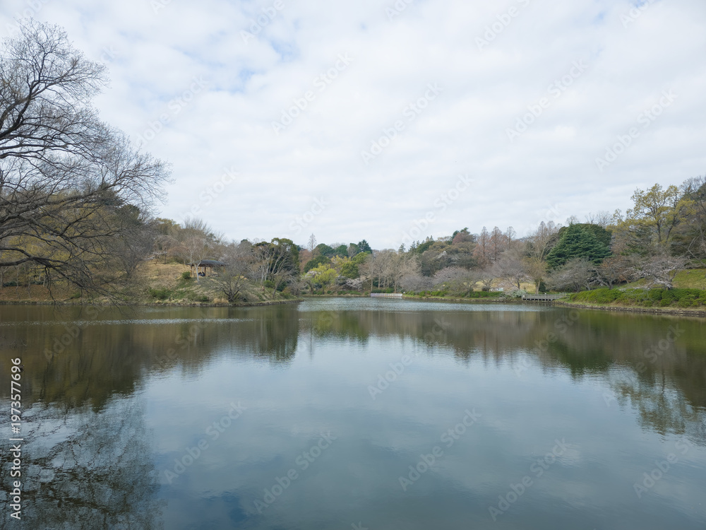 Obraz premium 春の三ッ池公園