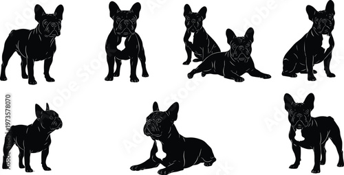 French bulldog vector silhouettes set featuring multiple poses sitting standing lying isolated on white background, detailed pet dog illustration collection for design projects