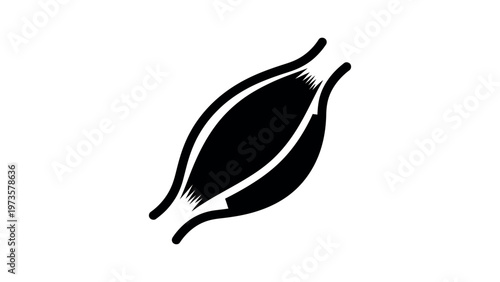 Black silhouette of human muscle fiber