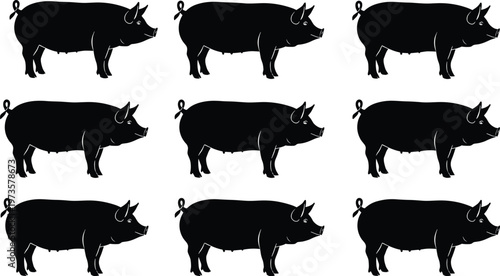 Pig silhouette set featuring multiple farm swine poses, livestock animal collection isolated on white background, agriculture farming vector illustration for meat production concept