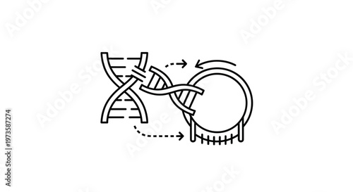 DNA Replication and Transcription: Genetic Code, Molecular Biology, Scientific Research