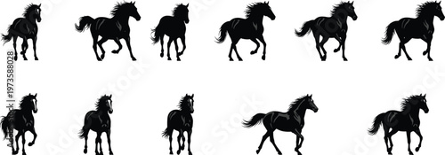 Running horse silhouettes set, wild mustang motion sequence, galloping animal poses, equine speed illustration, black silhouette vector, dynamic movement collection