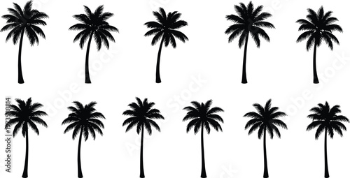 palm tree silhouettes set tropical coconut trees nature beach black isolated vector illustration collection summer island