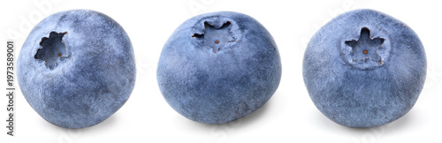 blueberry isolated on white background. macro. clipping path