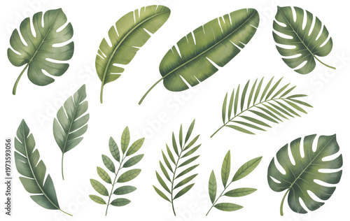 Watercolor Tropical Foliage Leaves Collection. Natural Botanical Foliage Isolated for Textile Print.