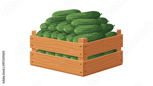 Sturdy wooden crate overflowing with fresh green cucumbers stacked neatly for market isolated on white background.