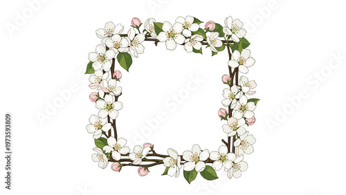 Square floral frame made of delicate white apple blossoms with green leaves and pink buds on a plain white background.
