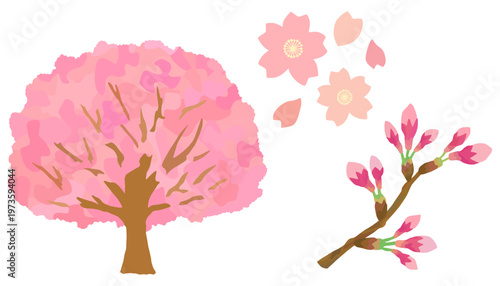 桜の花セット 桜の木 桜の花びら 桜の蕾 ベクター素材