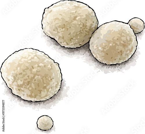 Streptococcus pneumoniae illustration