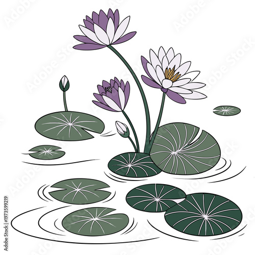 A vibrant illustration showcases purple and white water lilies with rounded green lily pads floating on rippling water high quality