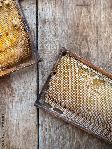 Billede på lærred Culled old brood frame from honey bee hive with wax moth tunnels and webbing