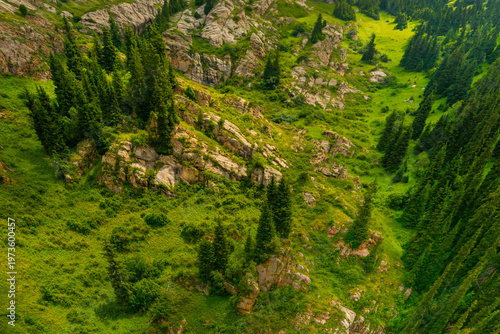 Konstfotografi Vibrant green valley surrounded by majestic mountains