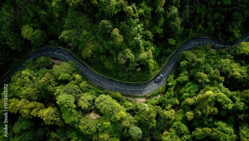 Aerial View of a Winding Road Through a Lush Green Forest.