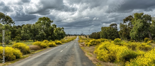 Scenic Australian Outback Road Journey Through Yellow Bushland Under Dramatic Clouds.