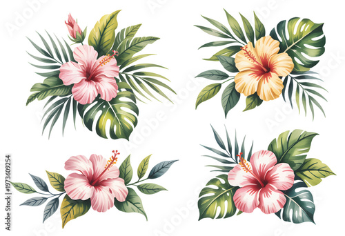 Tropical hibiscus flower arrangements watercolor set, hand painted botanical compositions with monstera and palm leaves isolated.