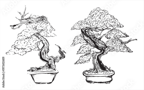 Hand-drawn bonsai trees with sculpted branches illustration