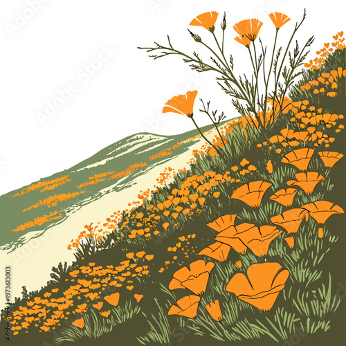 Vibrant orange california poppies and green grass on a hillside