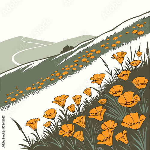 Illustration of a scenic hillside covered with vibrant orange california poppies and green grass