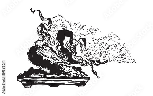 Hand-drawn bonsai trees with sculpted branches illustration