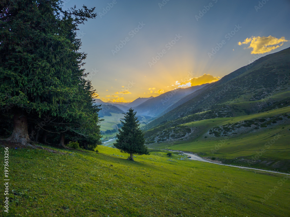Fototapeta premium Breathtaking view of a serene valley at sunset. Winding road leads through green slopes and coniferous trees under a clear sky with clouds.