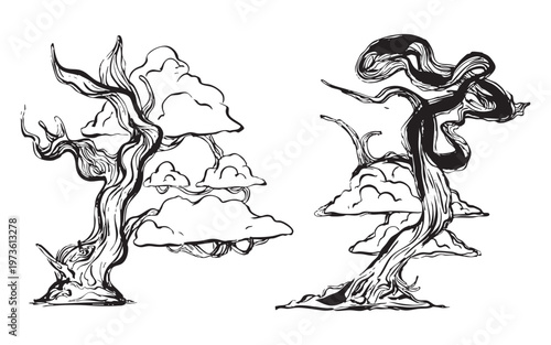 Hand-drawn bonsai trees with sculpted branches illustration