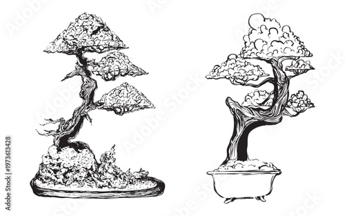 Hand-drawn bonsai trees with sculpted branches illustration