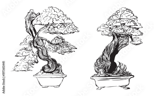 Hand-drawn bonsai trees with sculpted branches illustration