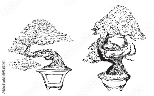 Hand-drawn bonsai trees with sculpted branches illustration
