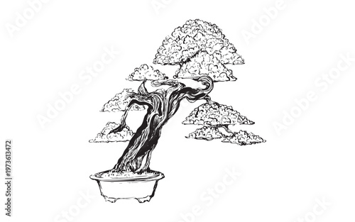 Hand-drawn bonsai trees with sculpted branches illustration