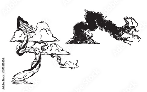 Hand-drawn bonsai trees with sculpted branches illustration