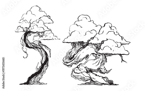 Hand-drawn bonsai trees with sculpted branches illustration
