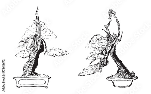 Hand-drawn bonsai trees with sculpted branches illustration