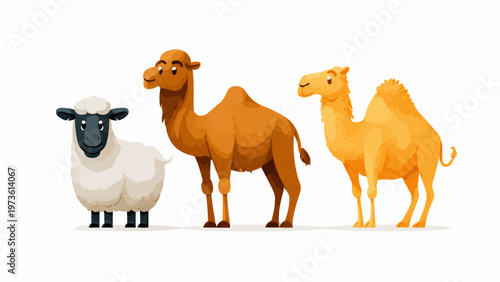 Eid Cartoon farm and desert animals collection, cute sheep and camels vector illustration, brown dromedary and white lamb set on white background