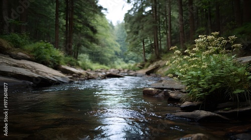 A serene stream meanders through a dense lush woodland capturing the quiet beauty of nature s wilderness