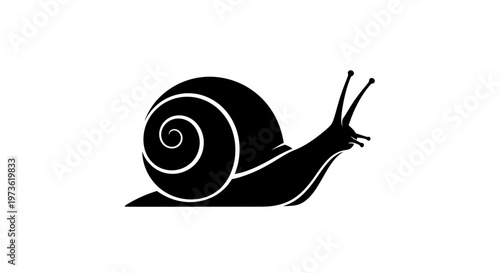 Black Snail Shell Silhouette Graphic Design.