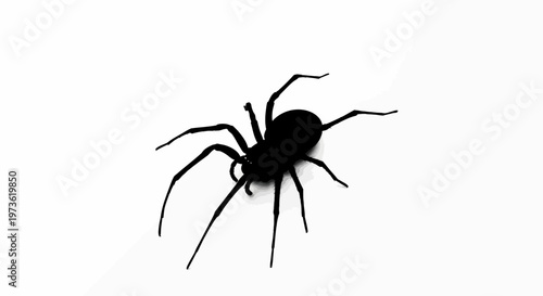 Black spider silhouette isolated on a white background.