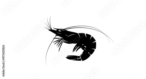 Detailed Black Silhouette of a Single Shrimp on White Background.