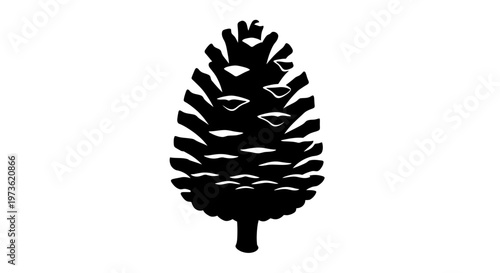 Detailed Pine Cone Closeup View.