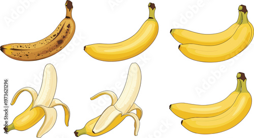 PrintBanana vector set featuring whole, peeled and ripe bananas in different stages isolated on white background for fruit and healthy food design