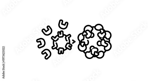 Enzyme Catalysis: Enzyme and Substrate Interaction Leading to Product Formation