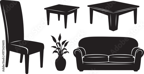 Furniture and decor in a minimalist black and white style