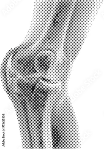 Halftone illustration of a mans bent arm and elbow  closeup of a flexed bicep on white background