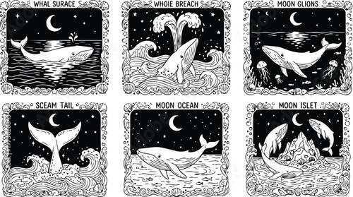 Colorbook style detailed whale illustrations showing whales breaching swimming at moonlit ocean with night sky constellation and decorative frames in black and white vector art